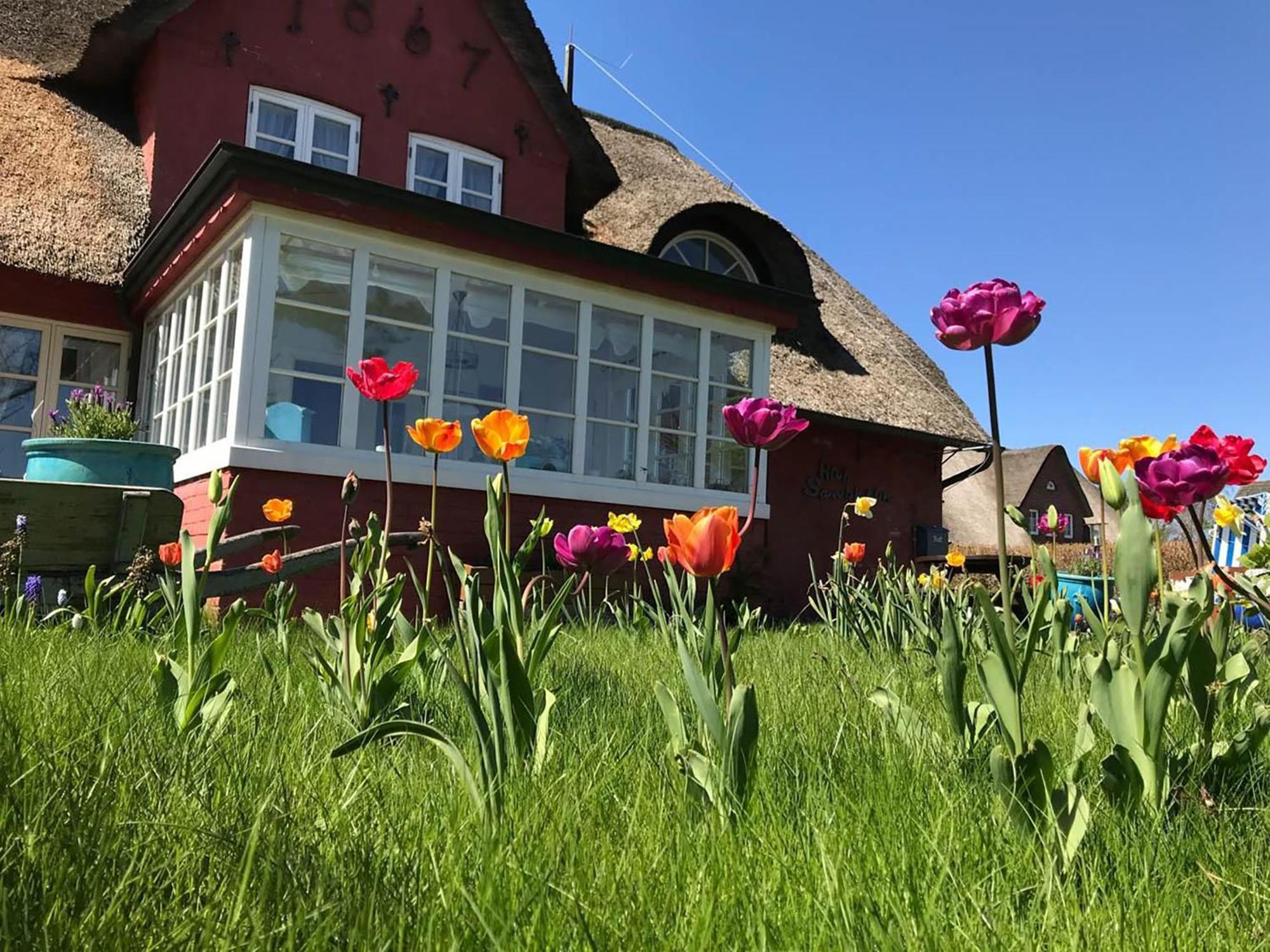 Hues Sanskiin Ferienwohnung *Goodshenk* Suddorf Esterno foto